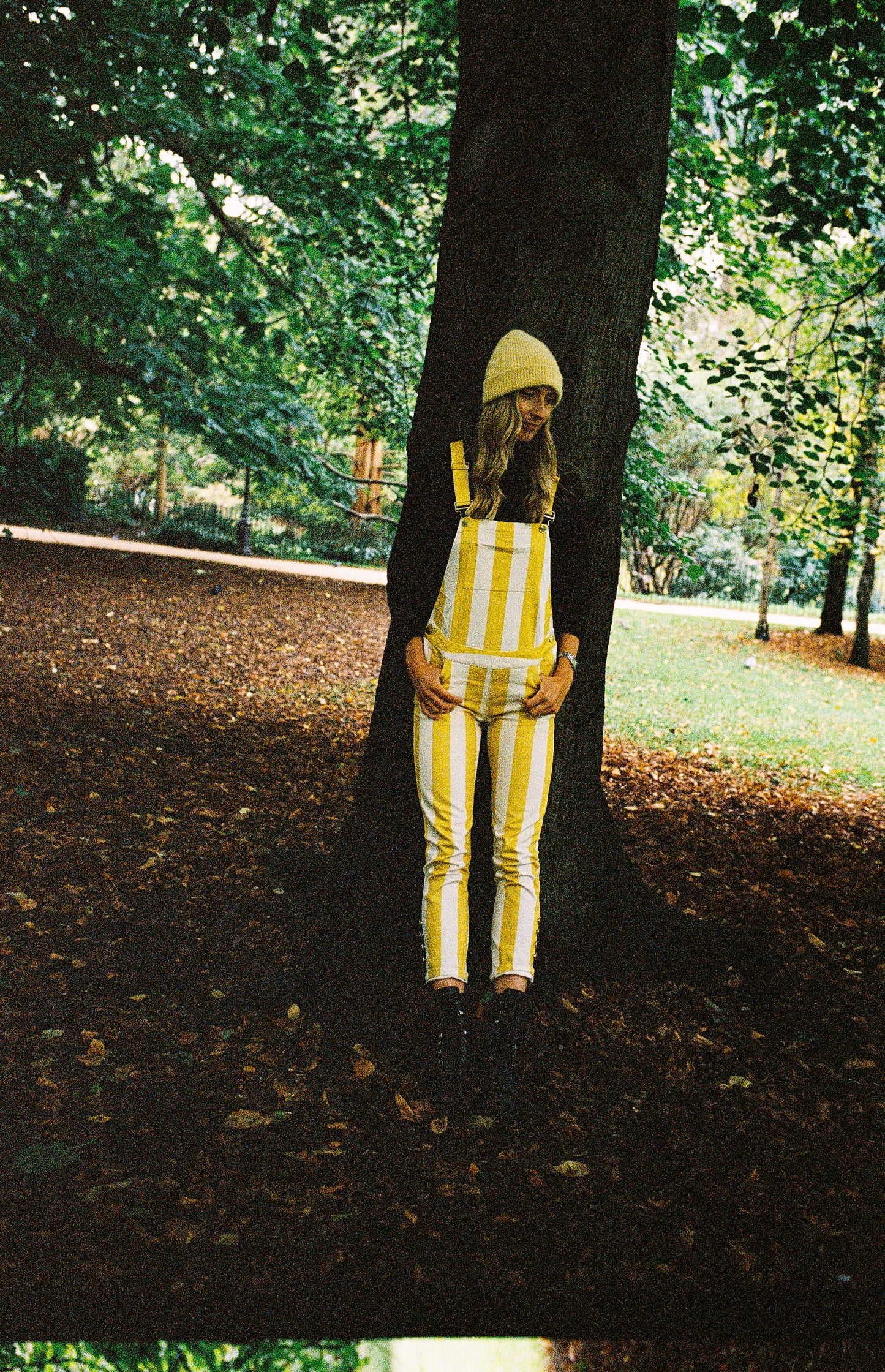 Stripy Yellow