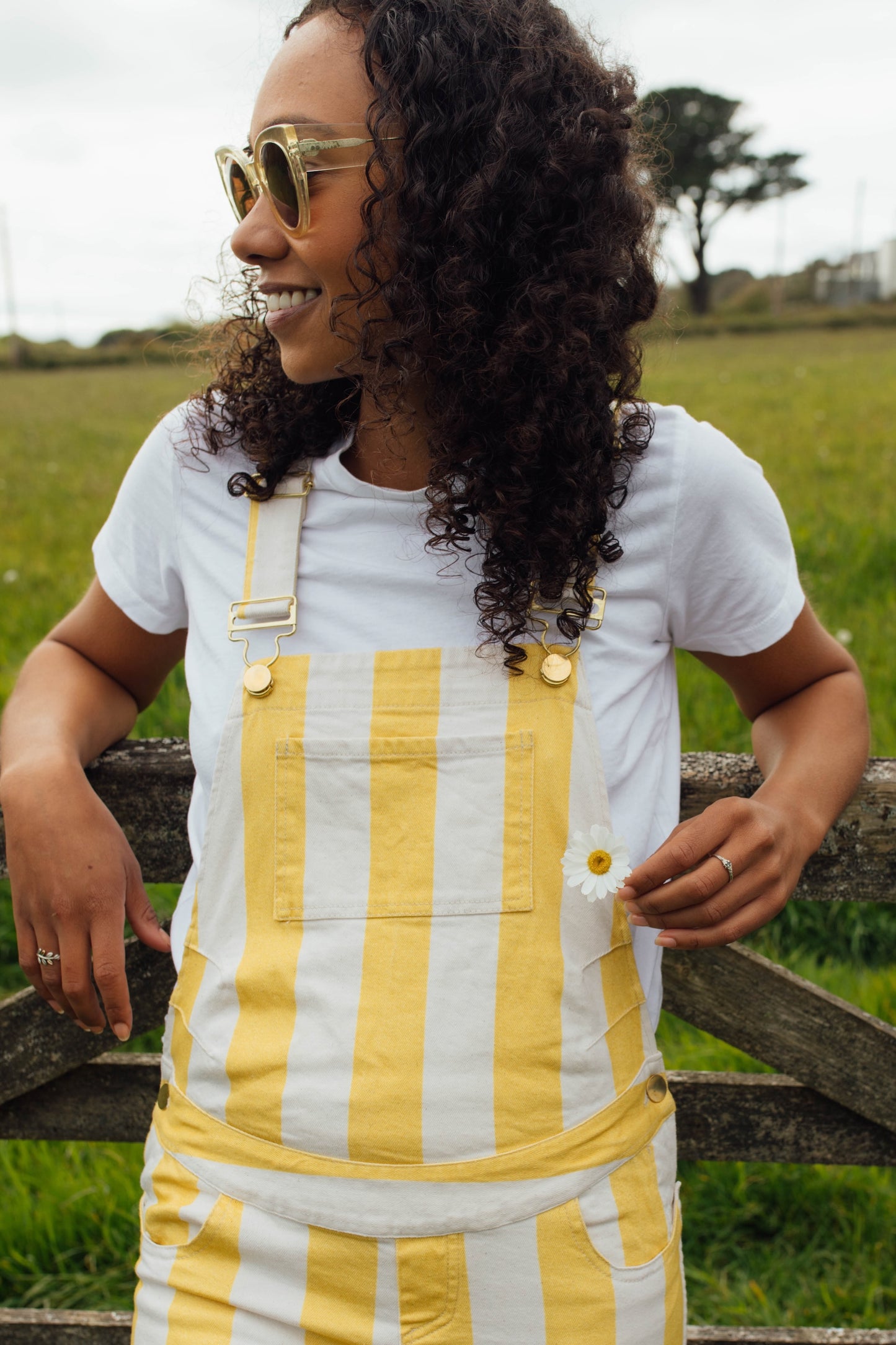 Stripy Yellow